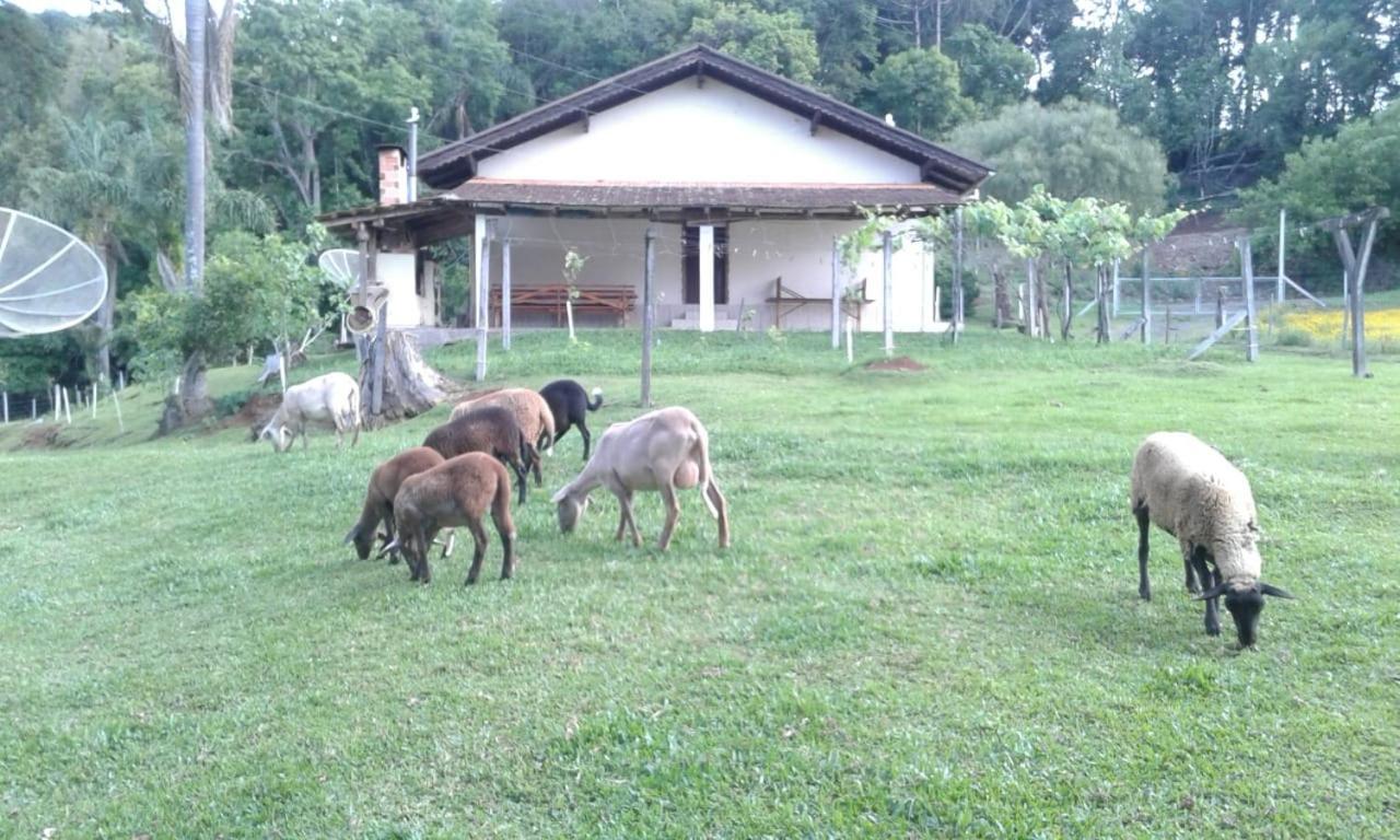 Treze Tílias Sitio Kanisfluh المظهر الخارجي الصورة
